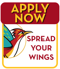 Apply Now at COD and Spread Your Wings